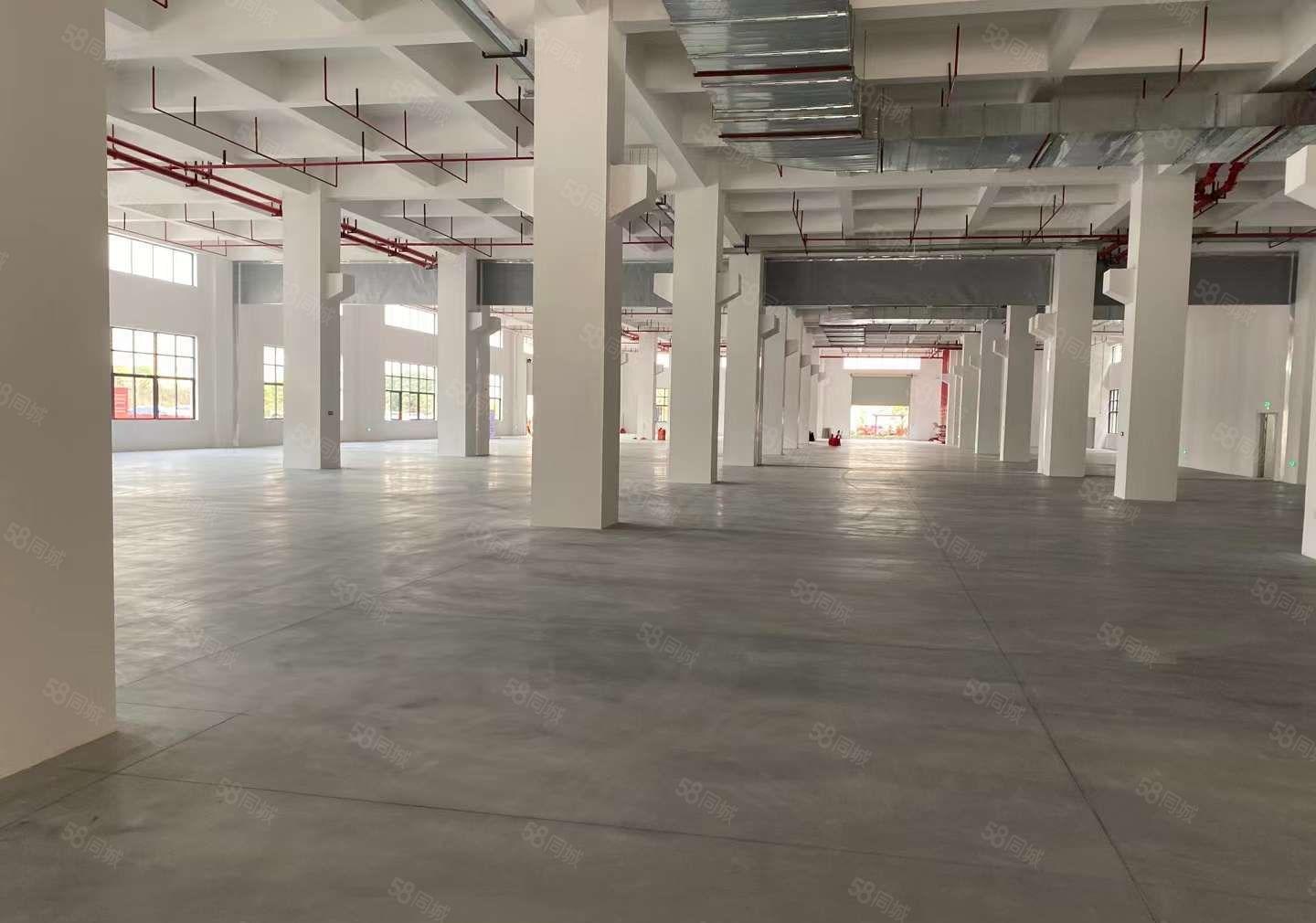 常平红本工业园新出二三四楼各5120平方二楼带牛角有卸货平台