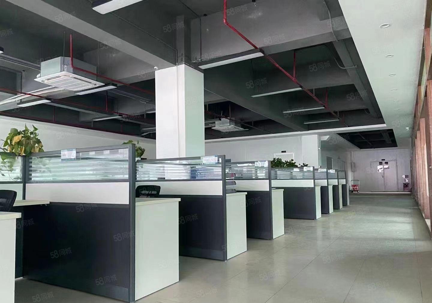 常平镇 独门独院低价出租 豪华装修 形象好 空地大 工业用地