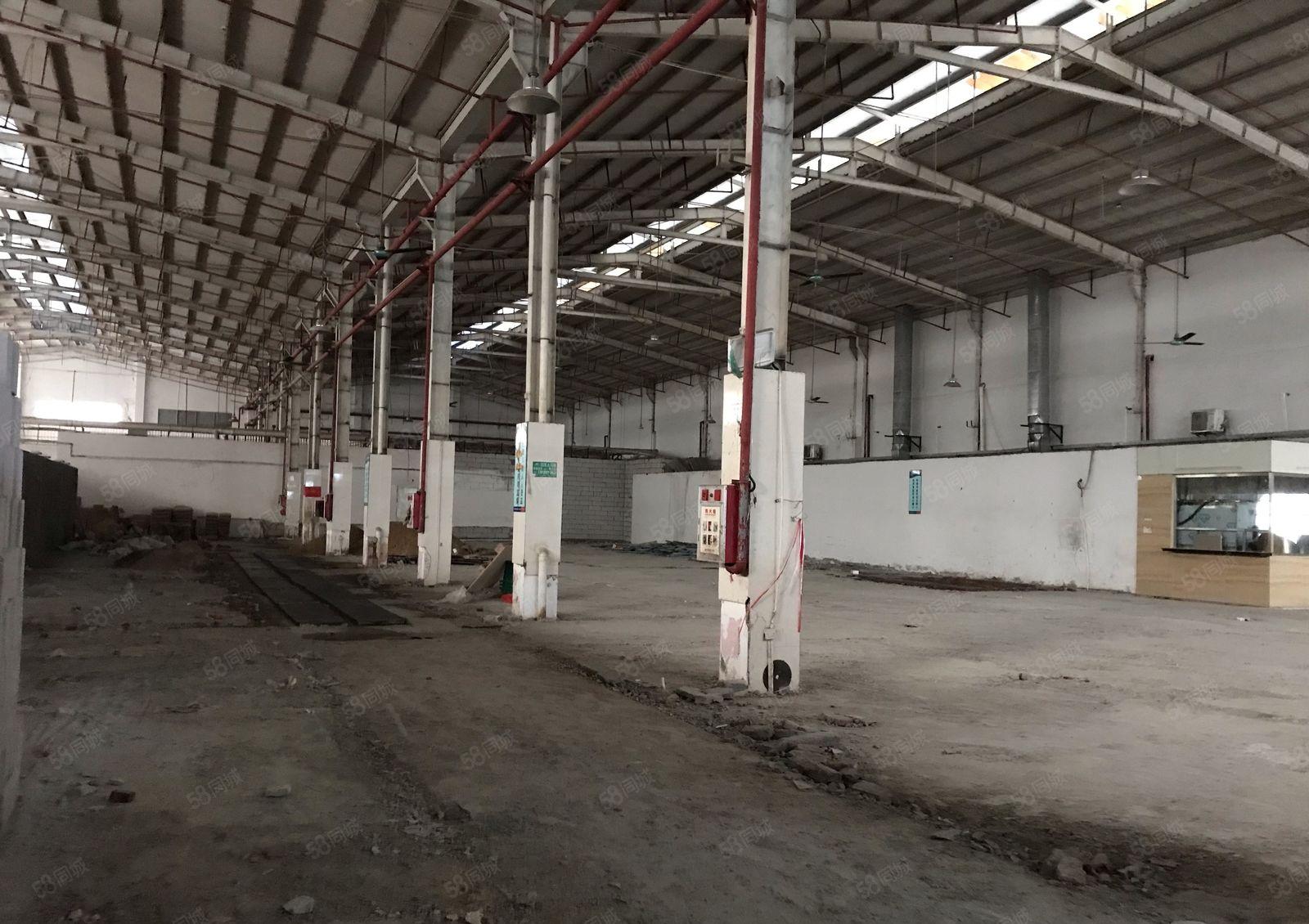 常平新出单一层钢结构厂房1680平高10米