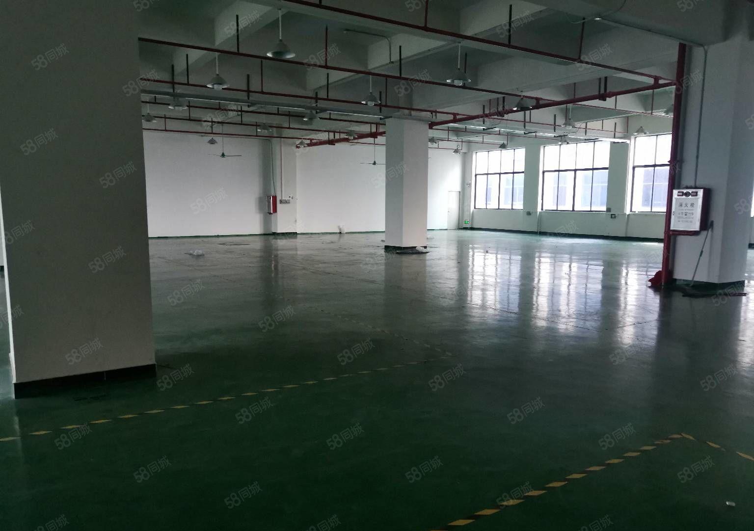 常平镇新出楼上全新厂房，精装修，300平方起租。