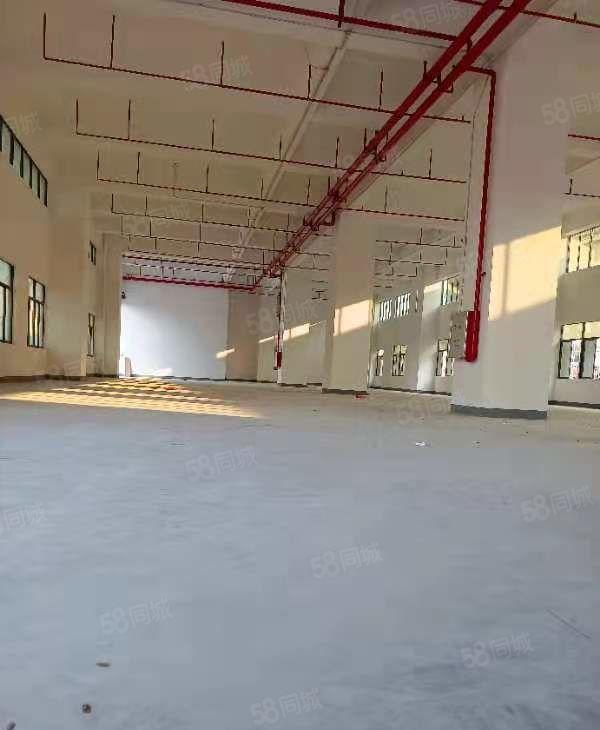 常平新出全新标准独院厂房26000平米水电齐全欢迎来电详询。