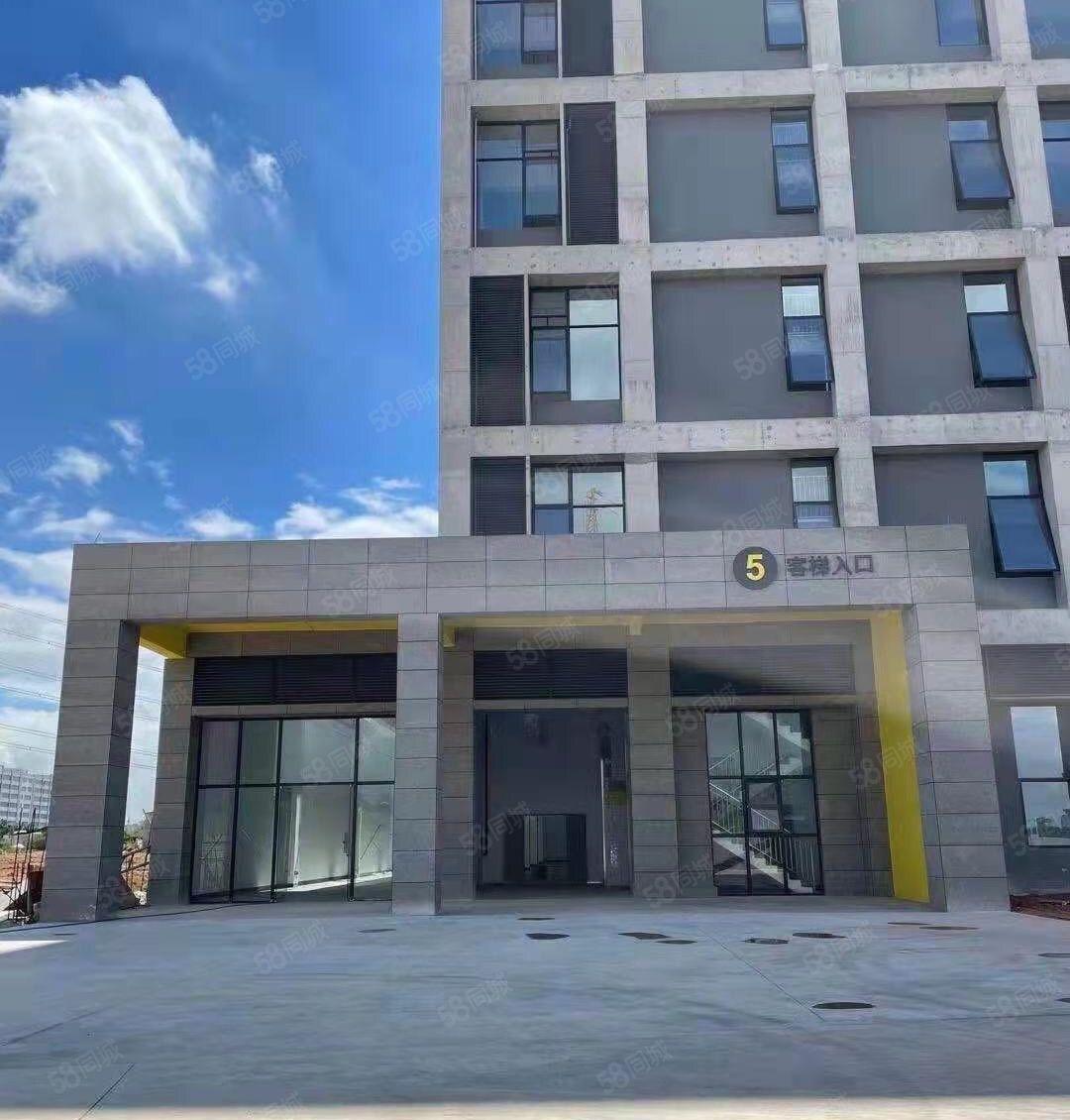 常平田尾全新厂房出租