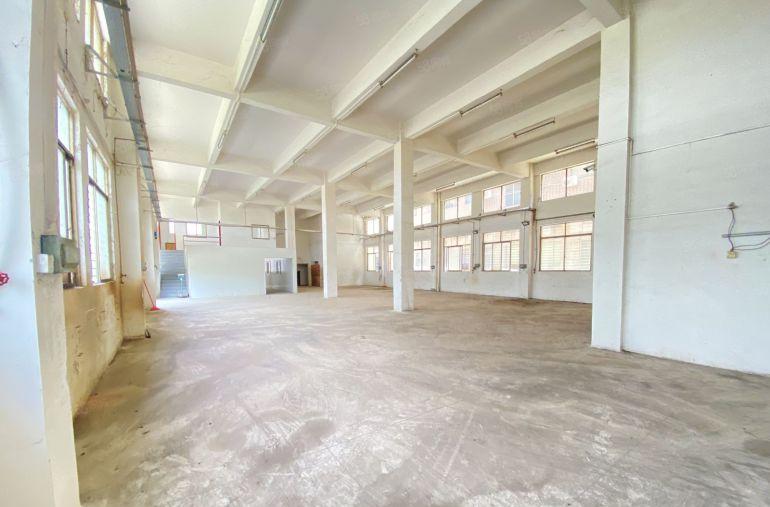 常平原房东一楼700平7米高适合注塑五金模具冲压等机械设备