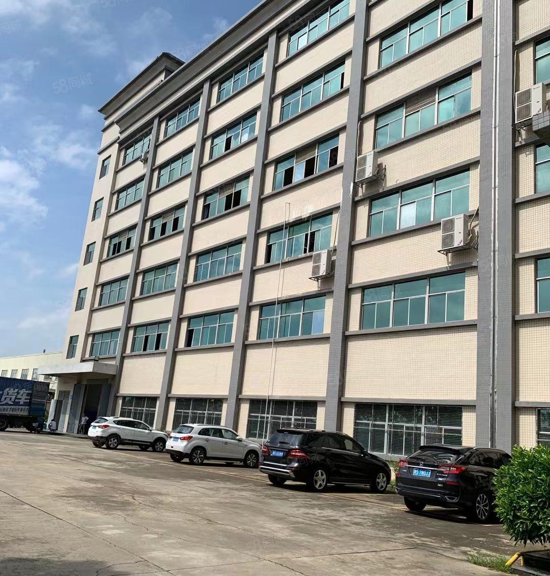 常平还珠沥厂房分组二楼1300平方带装修形象好空地大楼上招租