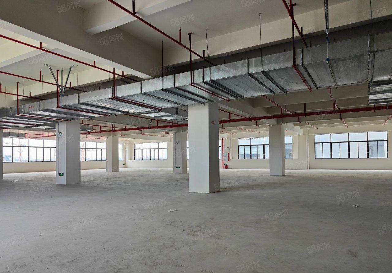 钜惠！常平镇全新标准厂房出租，独门独院  可办环评 大小可分