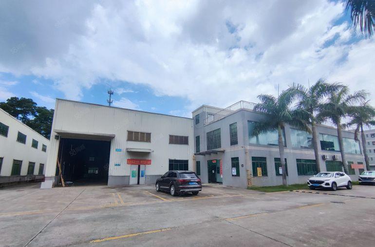 常平8米高单一层钢构独院厂房，带独立办公楼，中间无柱子形象好