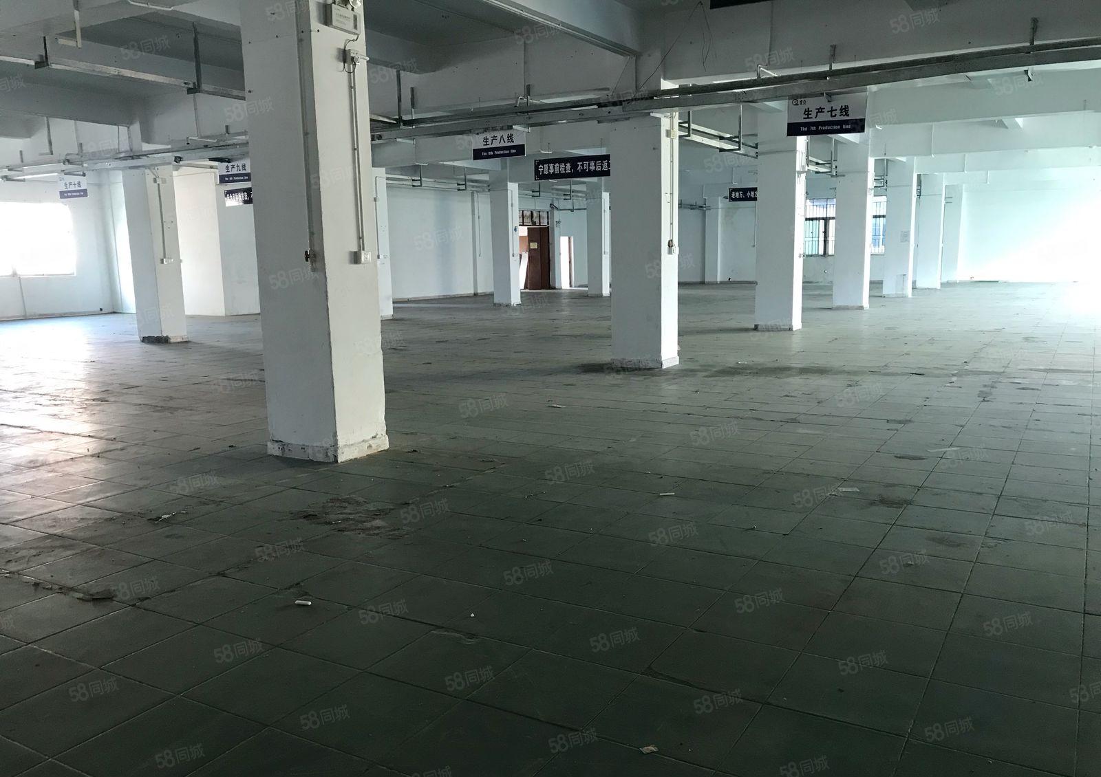 常平新出独门独院厂房5280平