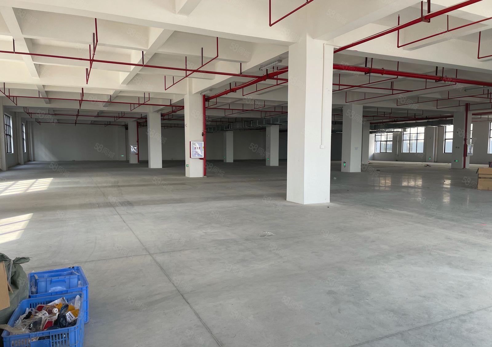 常平镇近高速科技园单层面积2100平剩两层4200平一二楼