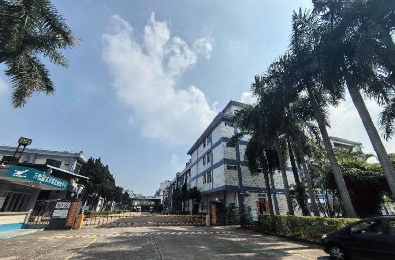 常平镇原房东出租带印刷环评厂房大小可分租适合印刷包装行业