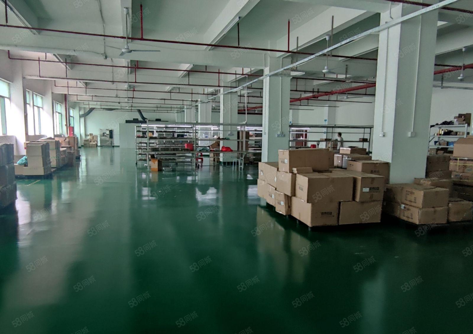 常平镇沙湖口工业园新出二楼4200平方出租500起分