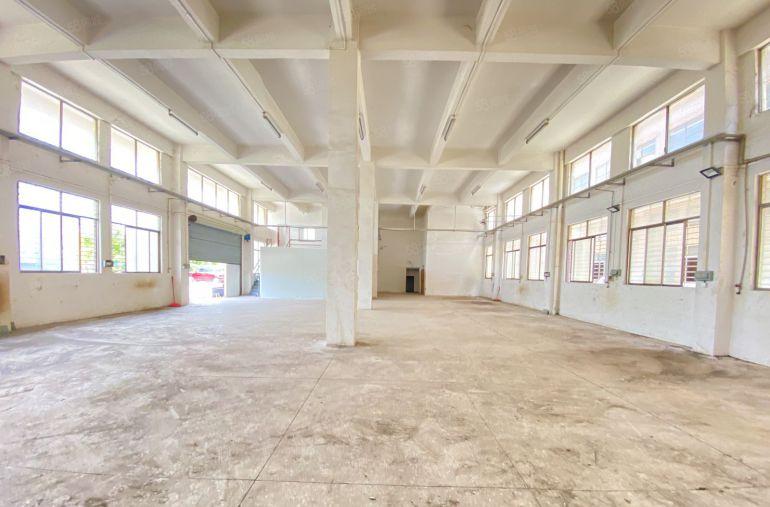 常平原房东一楼700平7米高适合注塑五金模具冲压等机械设备