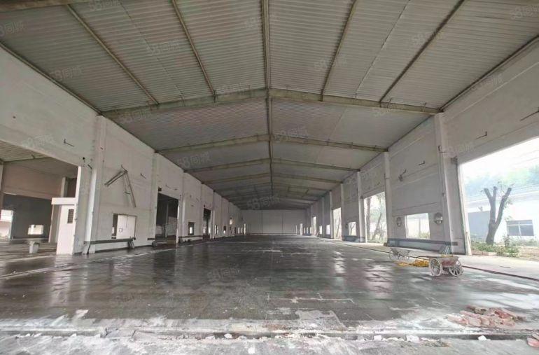 12米！高标库单一层独院厂房，门口空地6500平方。