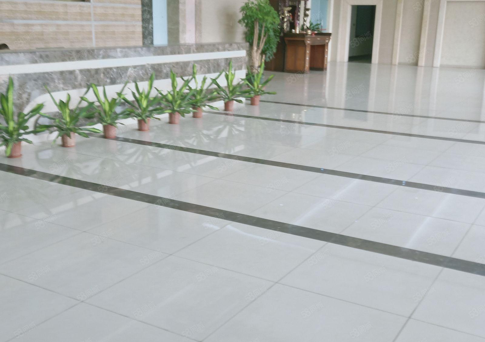 12元起常平中元工业园区新出带装修5000平厂房出租，可分租