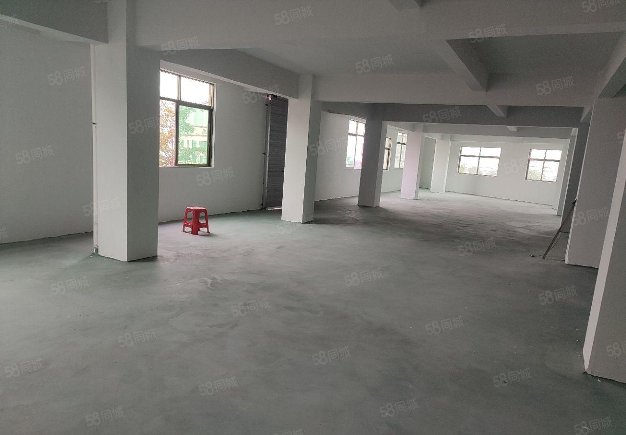 元江元厂房出租 全新厂房 整层出租 可进大货车