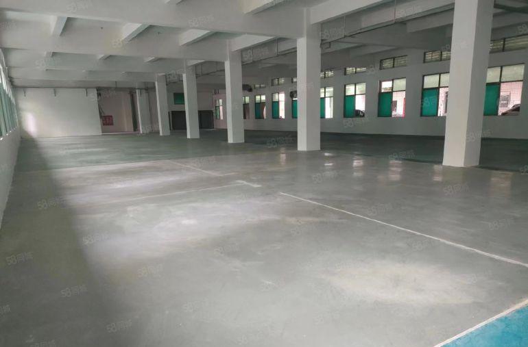 房东个人厂房一楼1200平方5.5米高租金18元厂房形象好