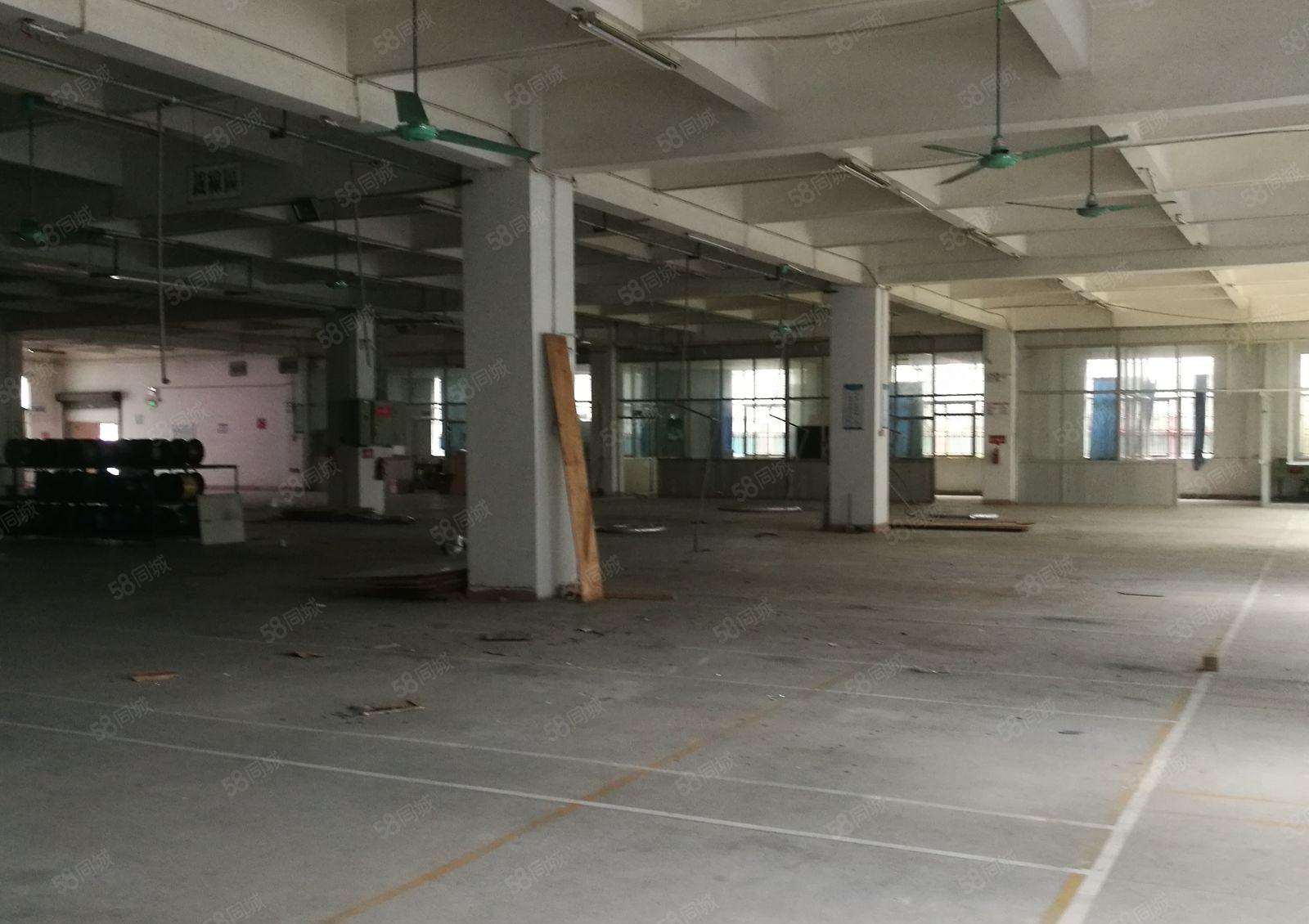 常平桥梓工业区新出一楼650平米，高度6米，现成水电装修