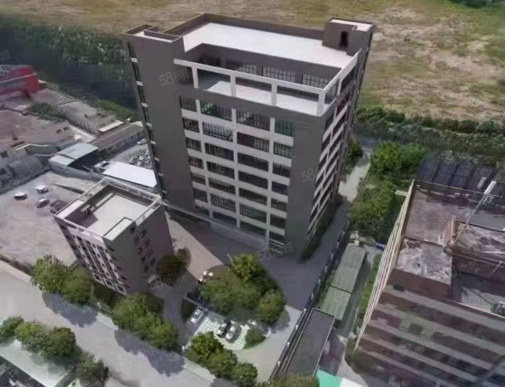 常平土塘全新独门独院厂房出租