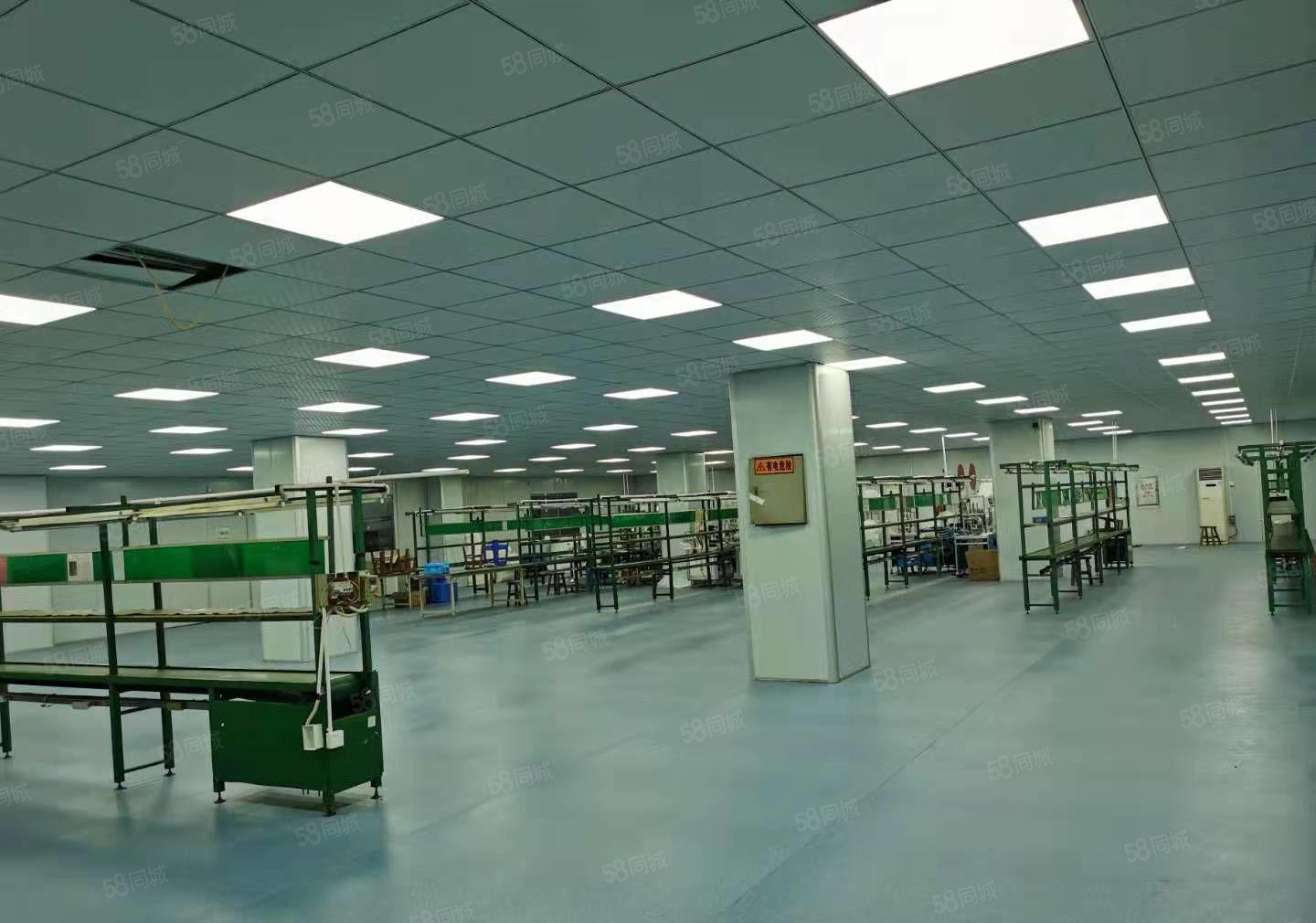 常平低价靓盘独院厂房出租，临近高速路口交通十分便利