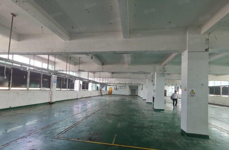 常平黄泥塘独院厂房分租楼上一整层1000平方米低价带办公装修