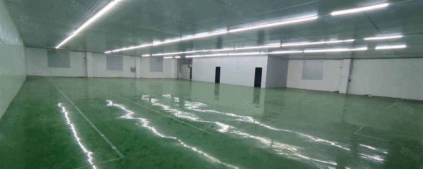 小独院带精装修无尘车间冷库适合食品加工厂医药行业