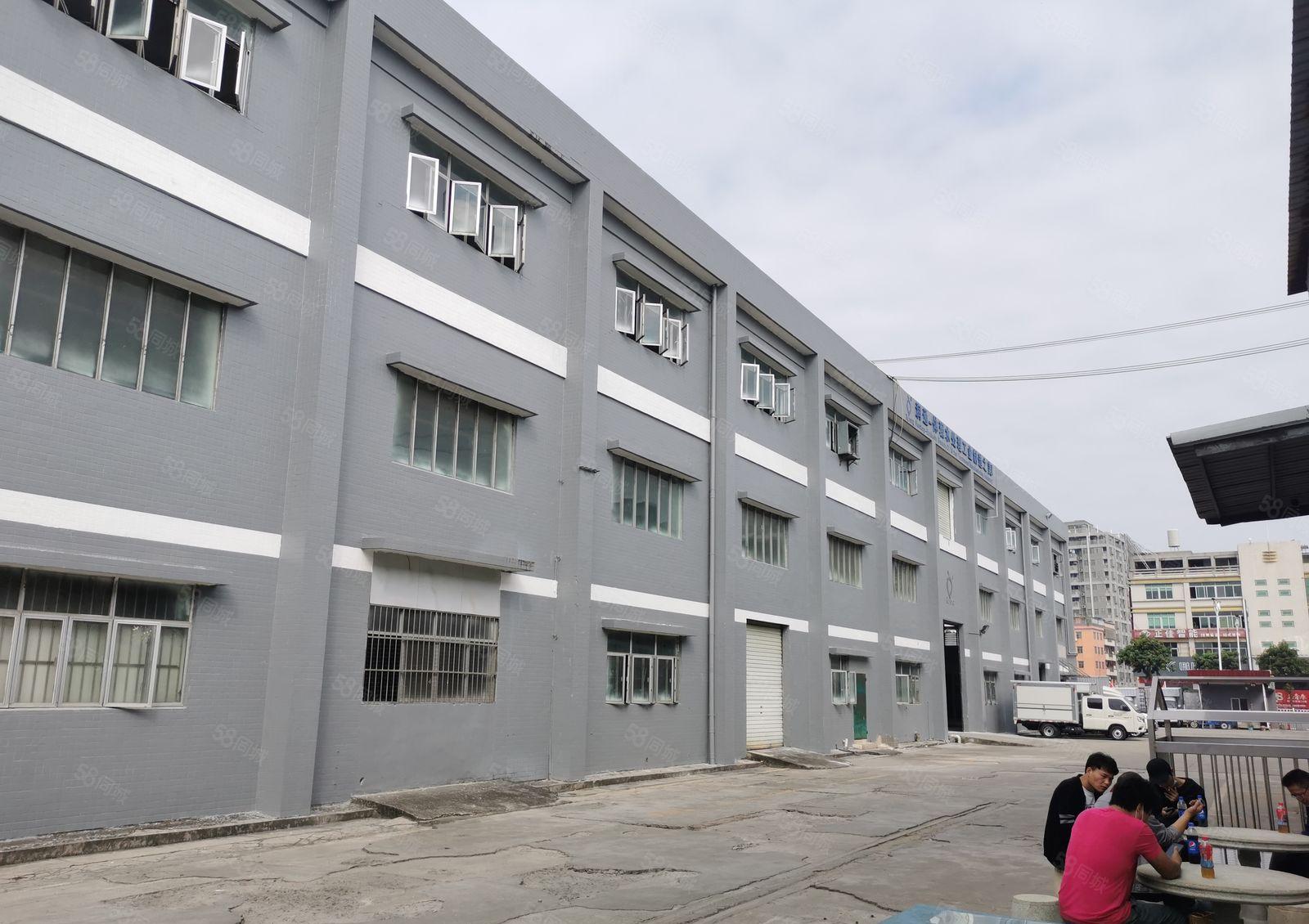 常平镇靠大朗新出标准厂房出租一楼7米高带牛角靠马路交通方便