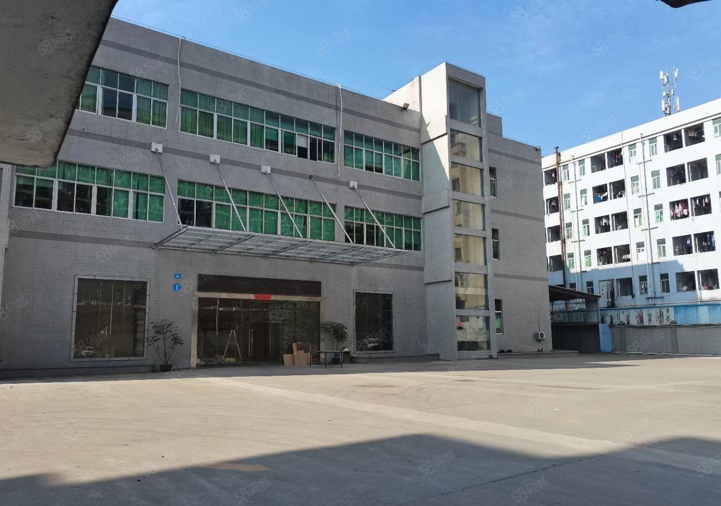 常平独门独院厂房5200平招租宿舍1600平仓库700可分租