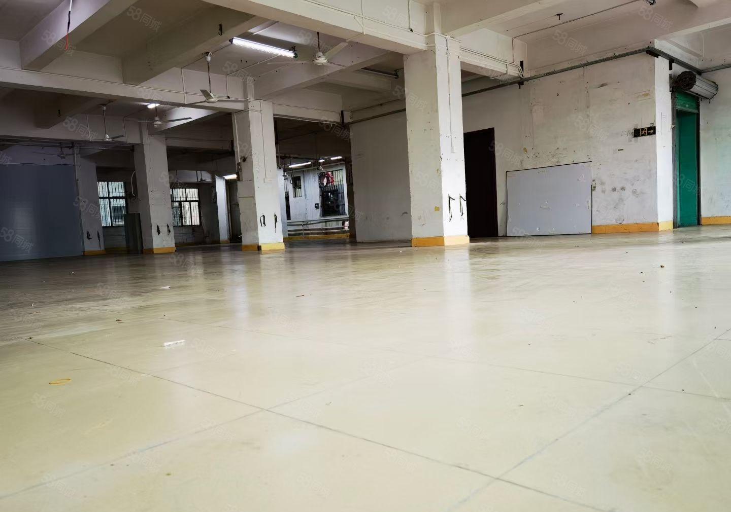 常平环珠沥现空三楼600平方，现成水电报价优惠，适合电子毛织