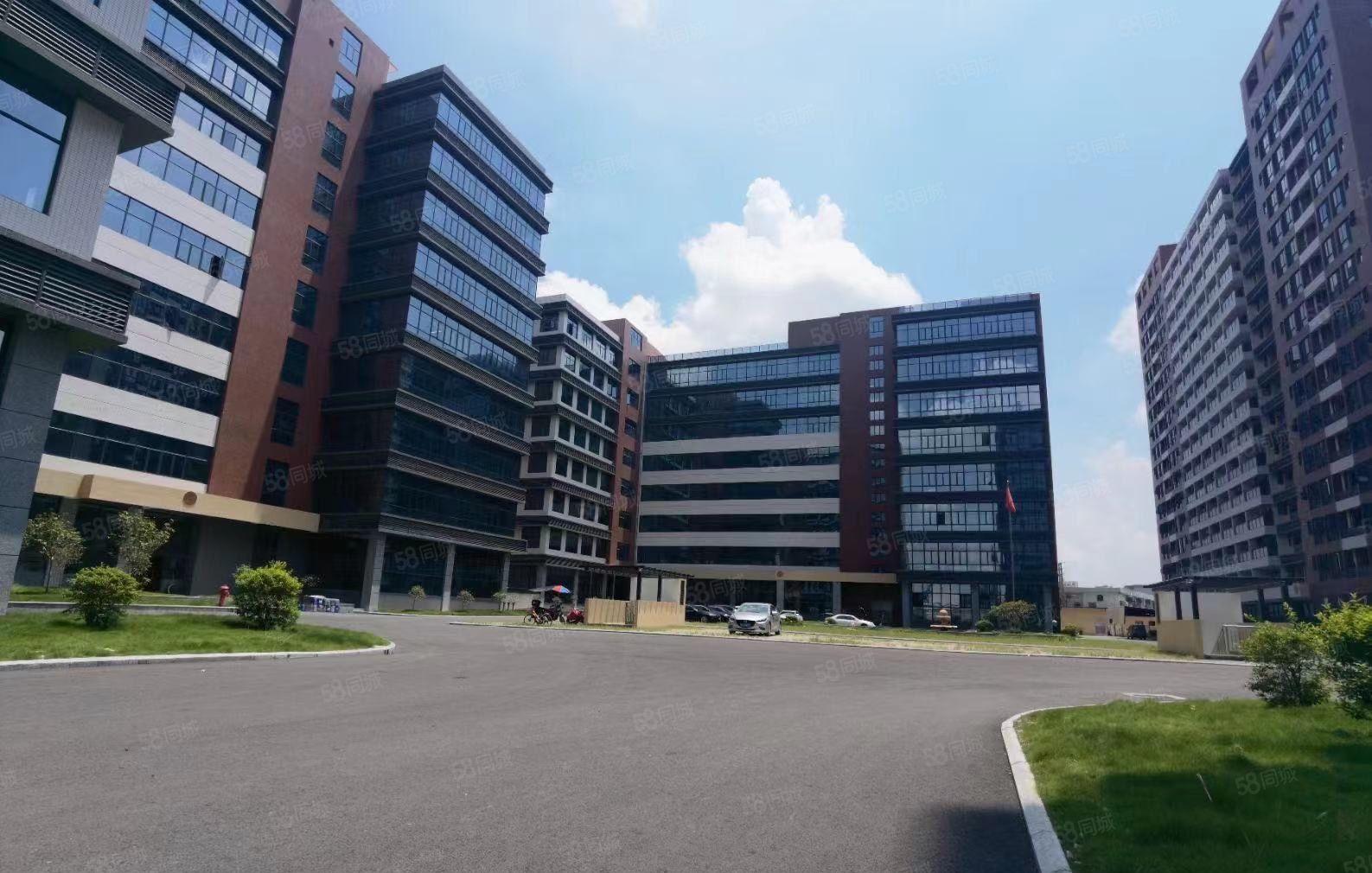 常平高速路口新出红本标准独院25000平方，可分层租