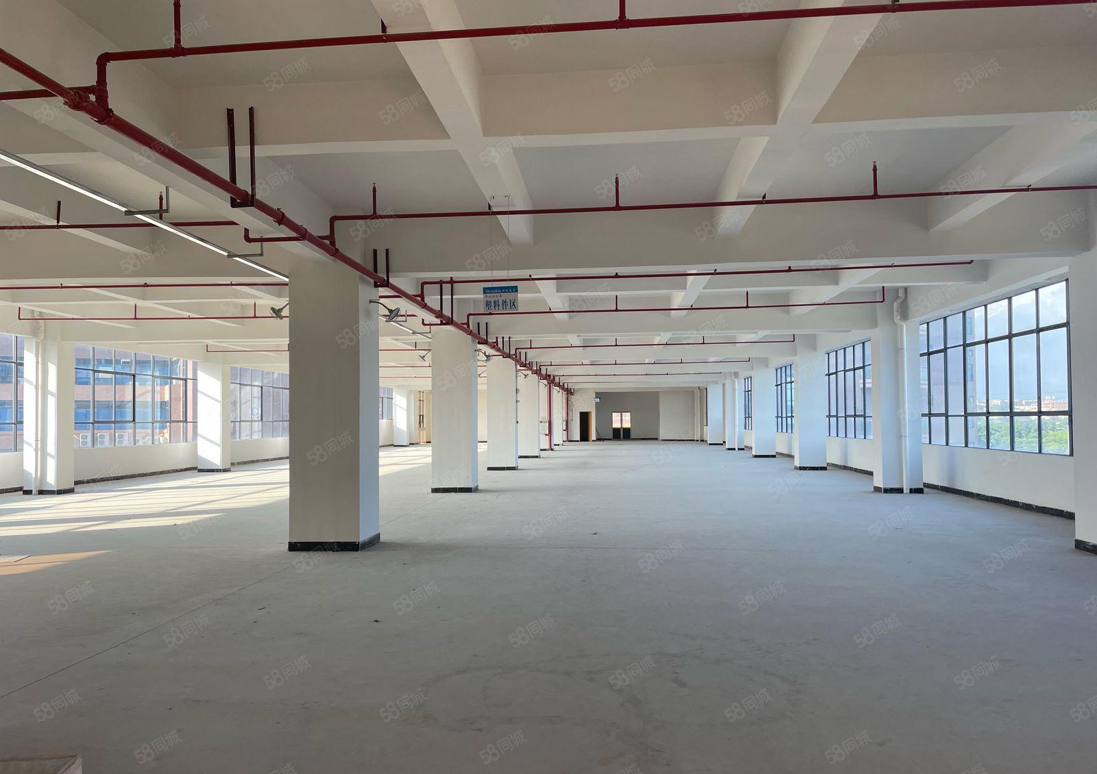 常平业主厂房直租1至8层每层1400平（大小可以分租）