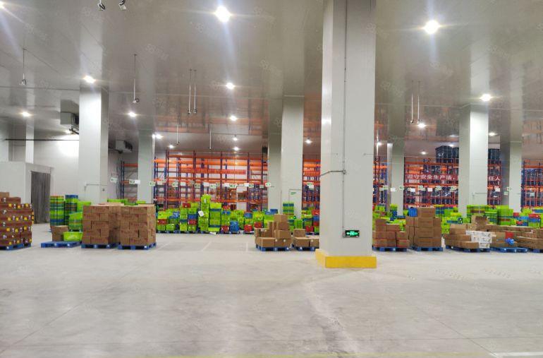 东莞常平刚出冻库冷库高标仓有卸货平台有打包场地零下18度