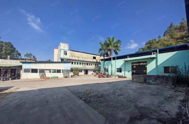 常平大京九塑胶城附近靠山边钢构低价单一层厂房仓库出租无居民