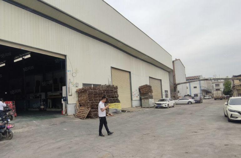 常平镇原房东钢构单一层1200平方厂房出租，空地大，交通便利