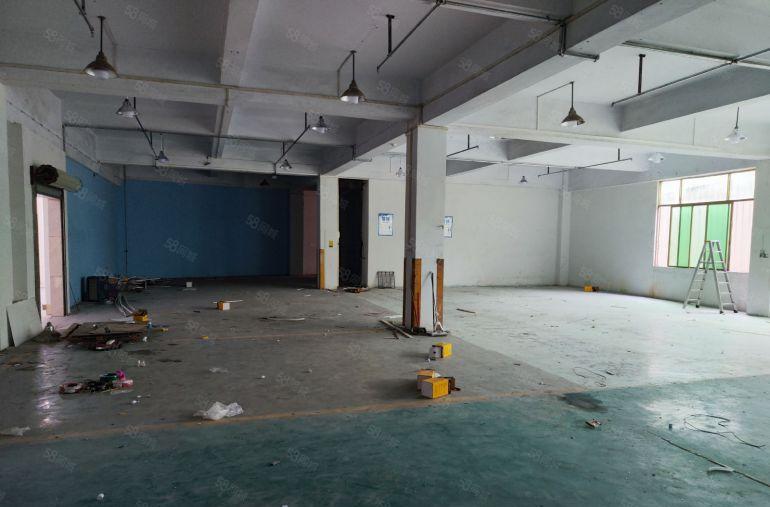 常平镇常马路元江元楼上900平标准厂房原房东价格便宜无公摊