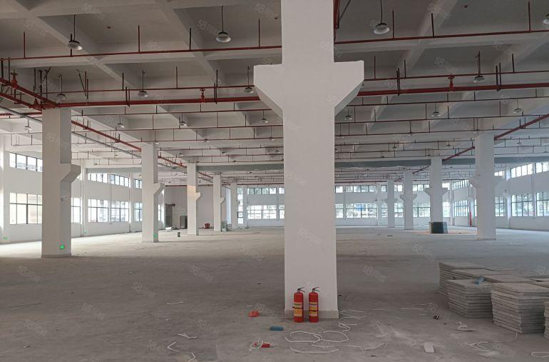 常平镇原房东标准一楼1500平方厂房出租，价格便宜，空地超大