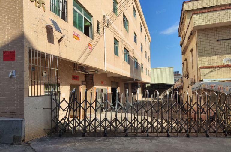 常平新出3000平原房东独门独院厂房出租（4层，8块钱便宜）