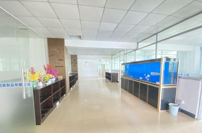 常平 原房东 楼上900平 适合电商贸易手袋制衣五金等等