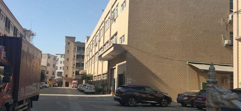 常平本地房东出租独门独院6300平方，实际面积，低价出租