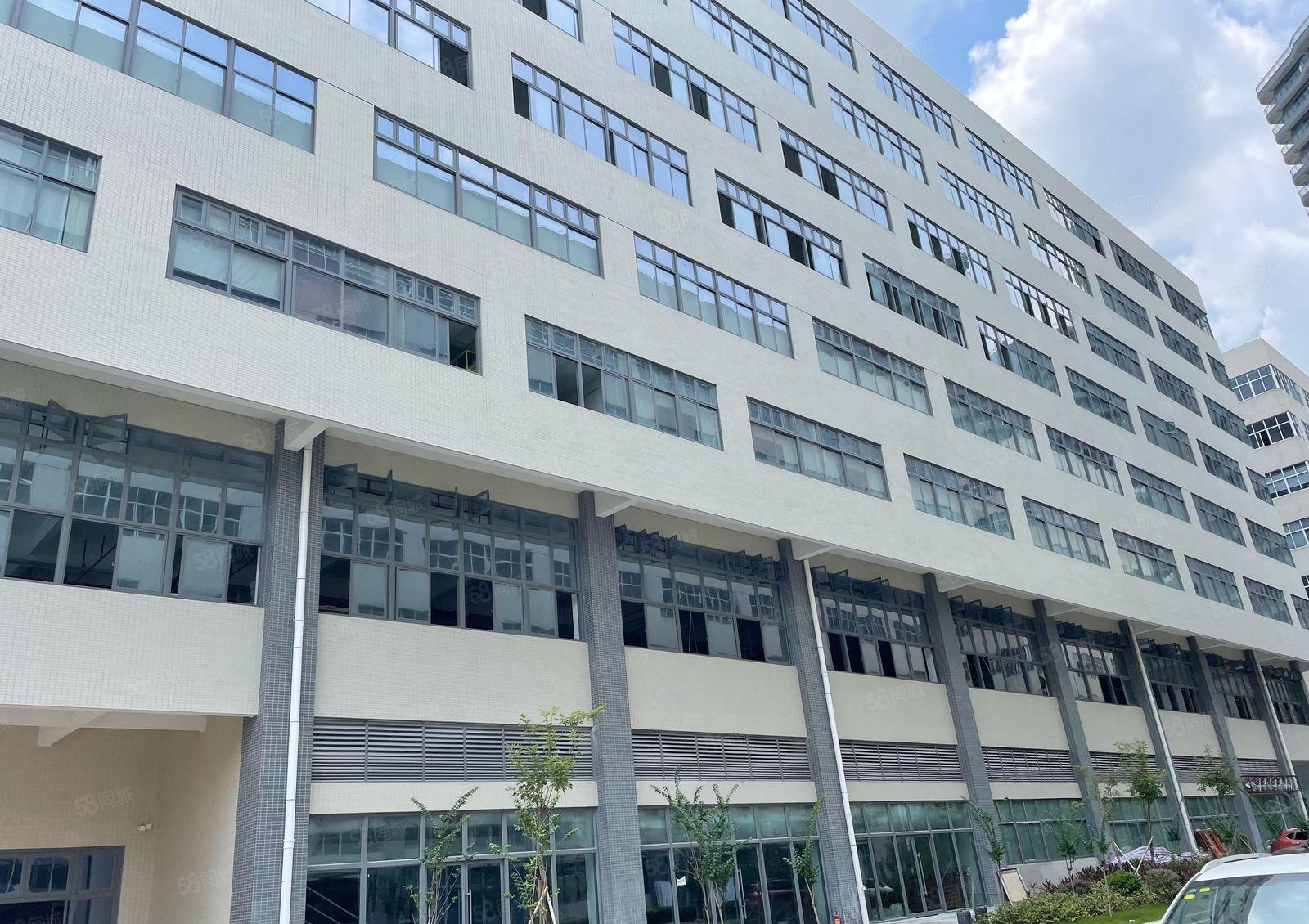 常平业主厂房直租1至8层每层1400平（大小可以分租）