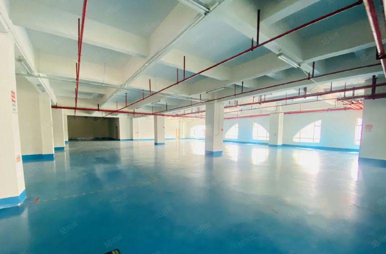 常平原房东楼上厂房出租5000平可做仓库新地坪漆精装办公室