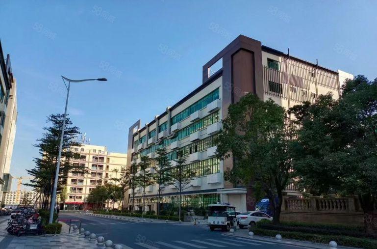 常平工业园一楼1000平米  二楼3000平米 大小面积分租