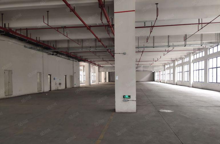 常平镇原房东标准一楼1500平方厂房出租，价格便宜，交通便利