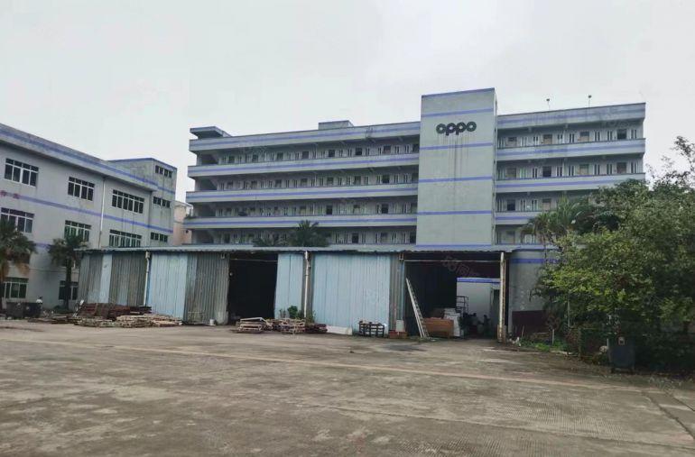 常平原房东独门独院标准厂房加单一层厂房出租，报价15块