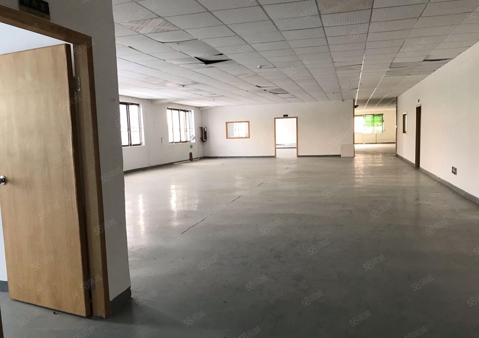 常平板石新出楼上2000平带精装修厂房