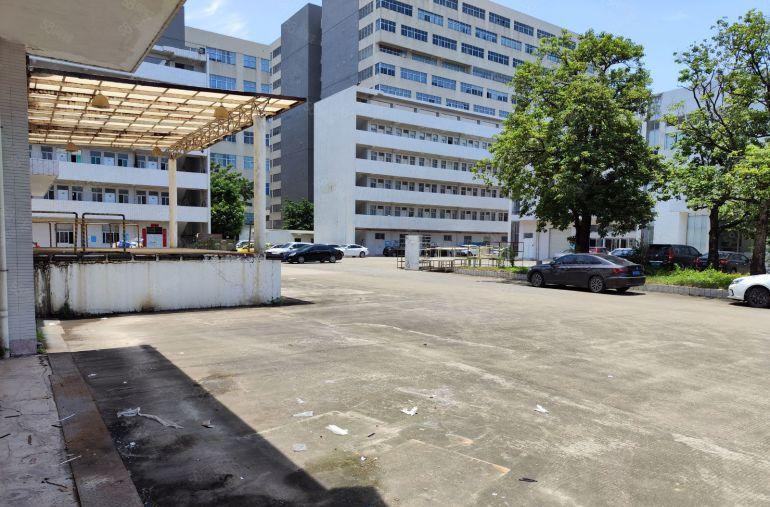 常平新出超靓标准独院5500平方低价出租空地超大