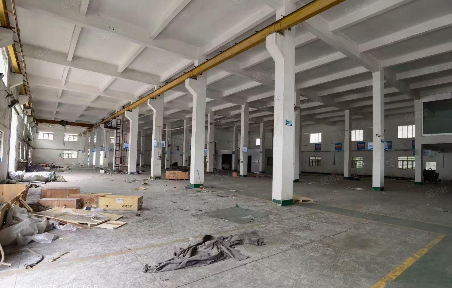 常平1至2层独院厂房招租面积7000平带航车天然气