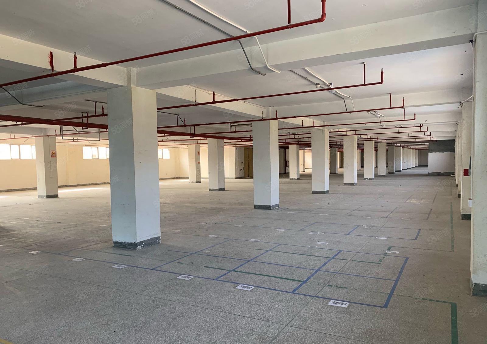 常平标准厂房500平出租