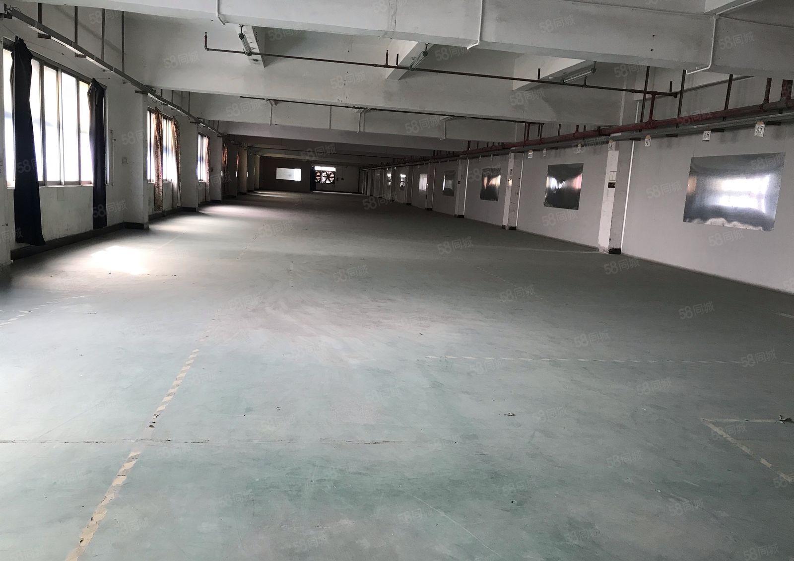 常平金美园区新出三楼3400平带精装修厂房