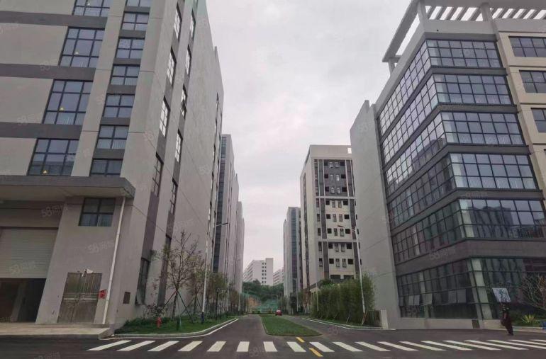 常平土塘新出原房东30000平厂房仓库出租，有红本，形象好