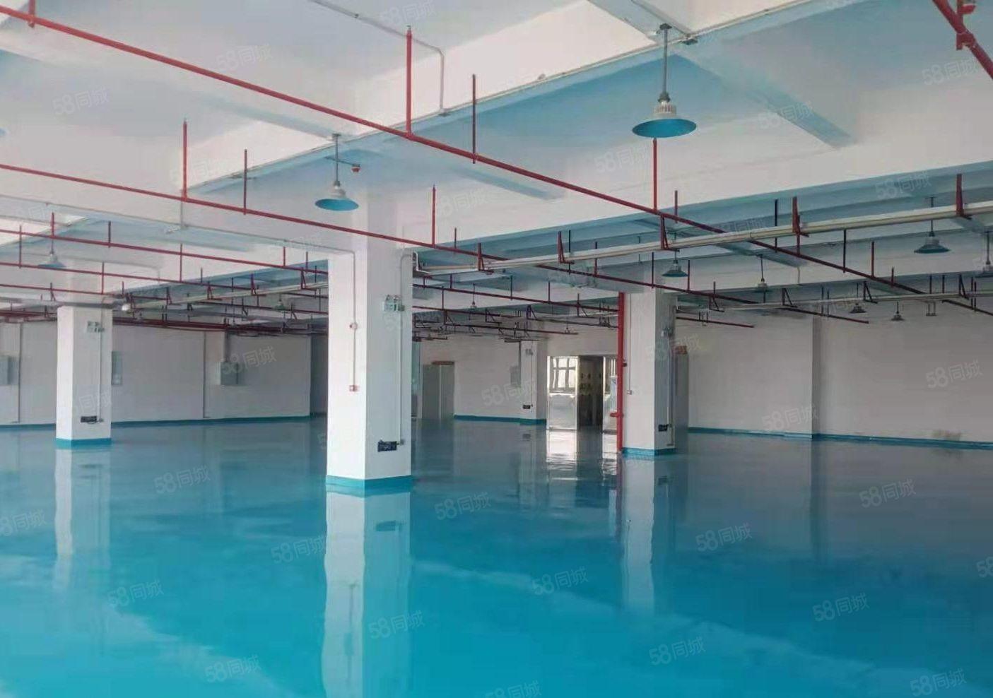 常平镇厂房出租，新空出三楼1100平形象好，价格实惠