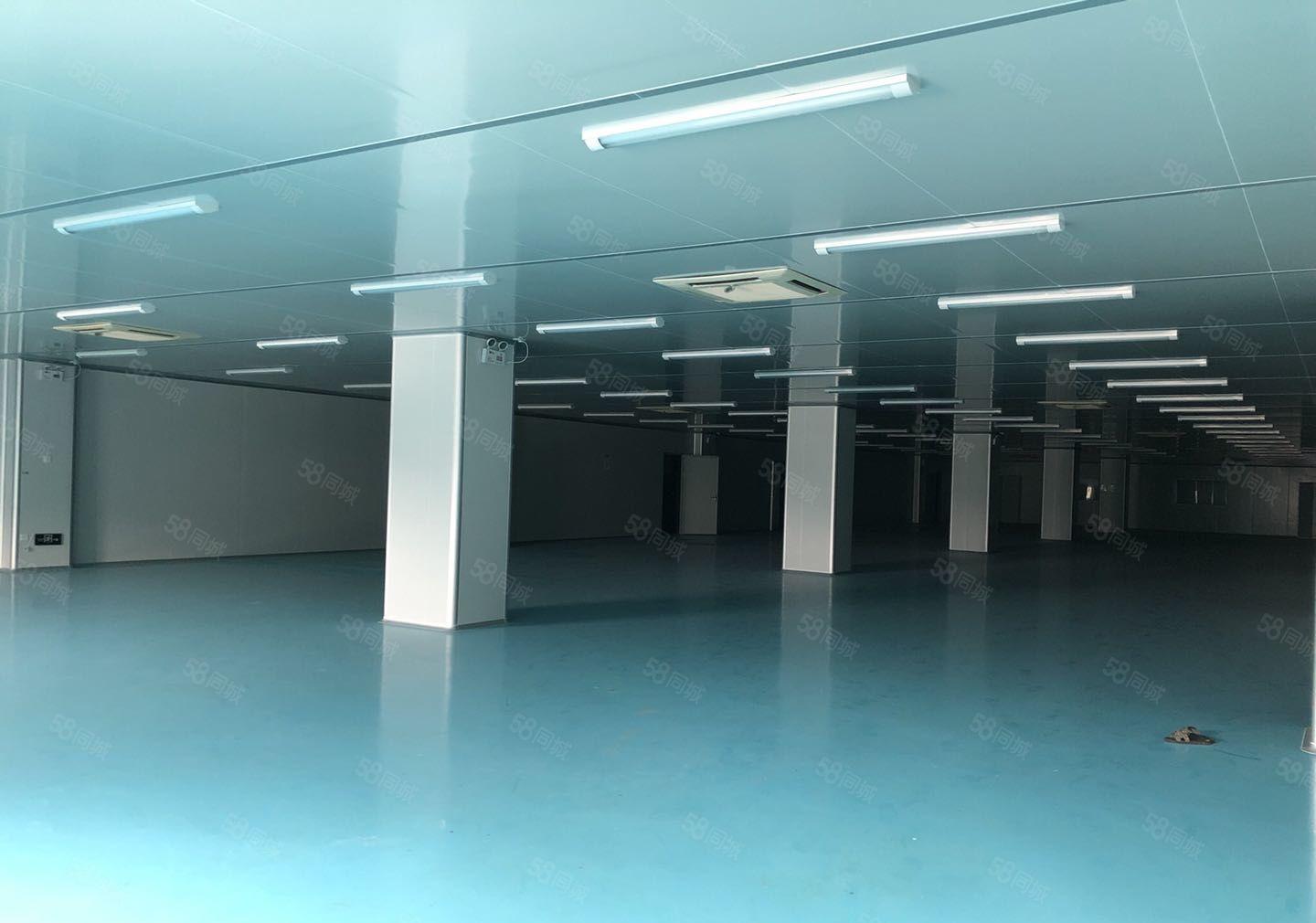 常平独院无柱子代价原房东环保厂房出租